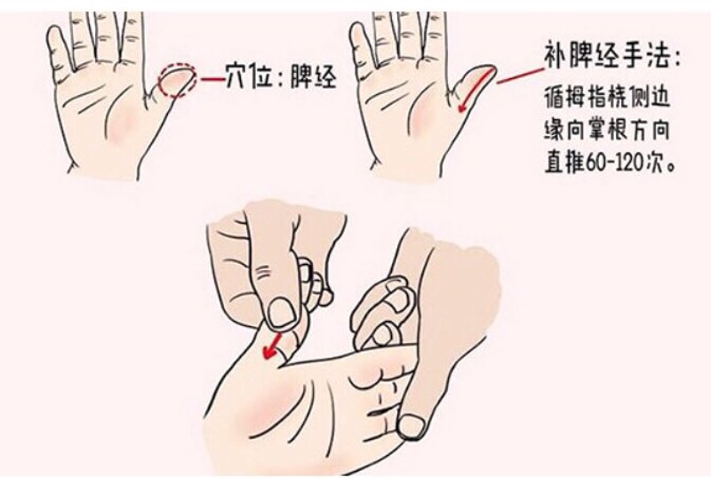 2026儿童脾胃调理用药：中药辨证 vs 精准营养，家长别纠结“最好”